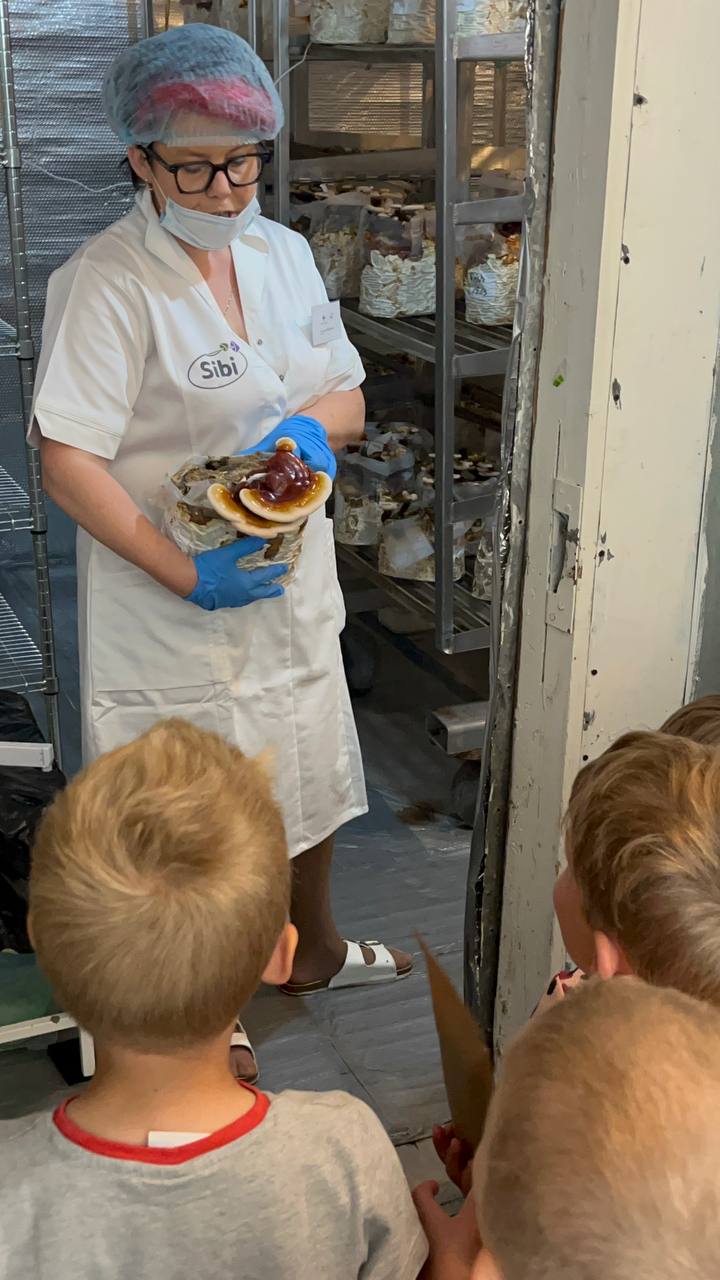 Jak vznikají houbové doplňky stravy: exkurze pro děti do výroby medicinálních hub Sibipharm