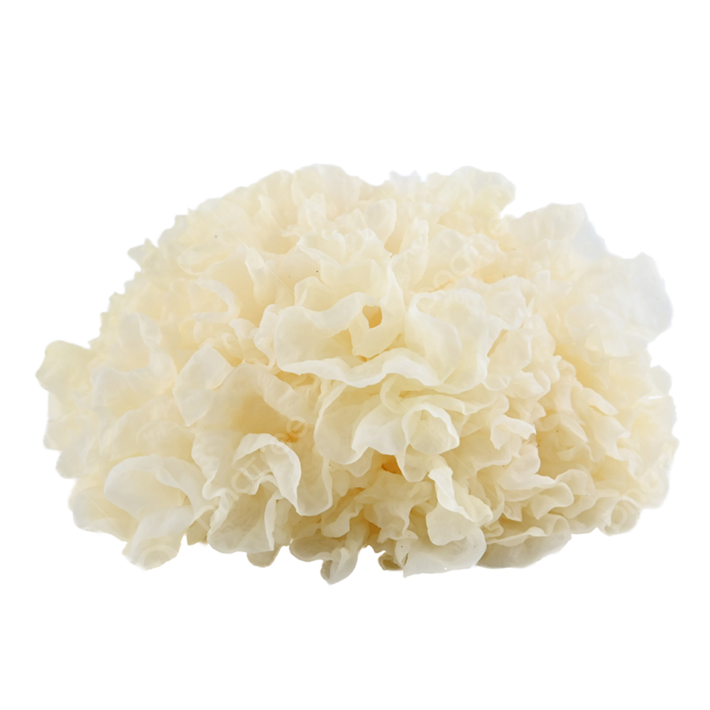 Tremella