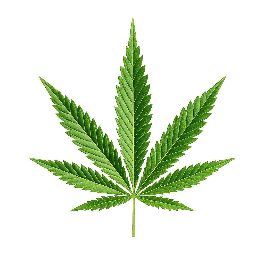 CBD Konopný olej