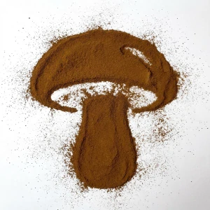 ČAGA SIBIŘSKÁ prášek 1000 g