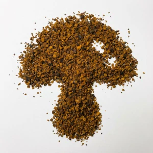 ČAGA SIBIŘSKÁ granulát 1000 g