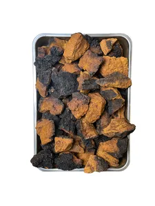 ČAGA SIBIŘSKÁ kousky 5000 g