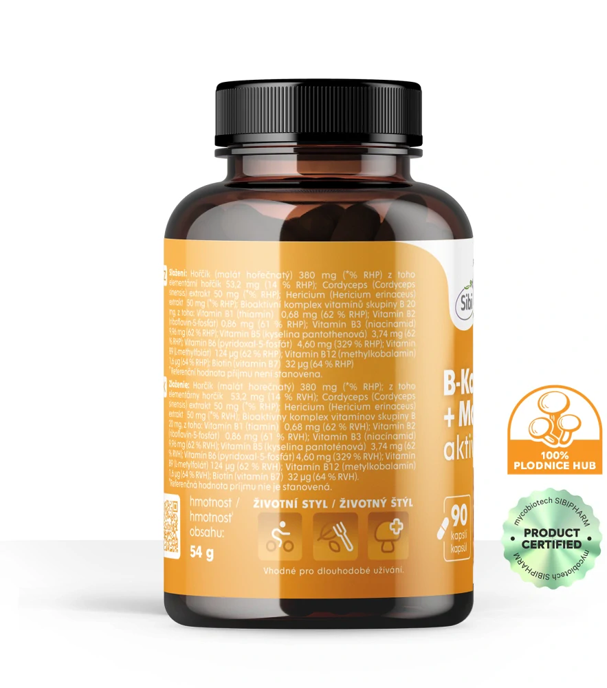 B-Komplex + Magnesium-AKTIVE KOMPLEX-vitamíny a houbové extrakty 90 kps 500 mg