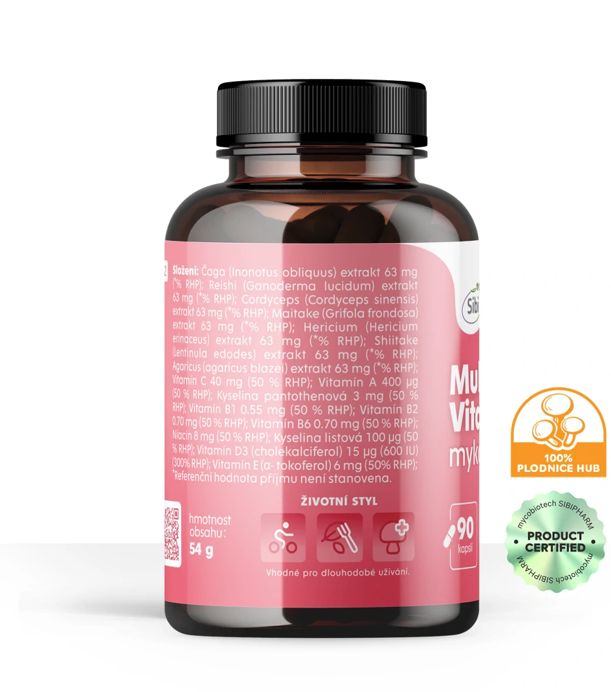 Multi Vitamin-MULTI KOMPLEX-vitamíny a houbové extrakty 90 kps 500 mg
