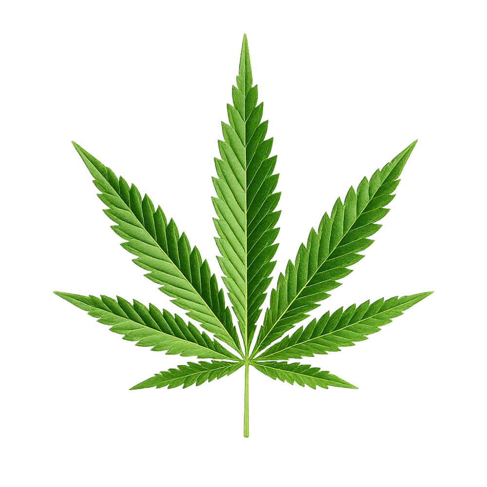 CBD Konopný olej 25%, 10 ml