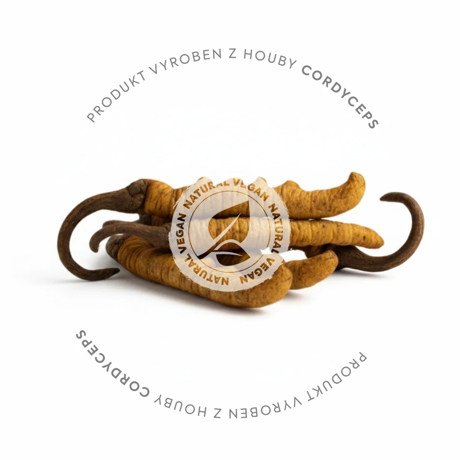 CORDYCEPS EXTRAKT TINKTURA 100 ml