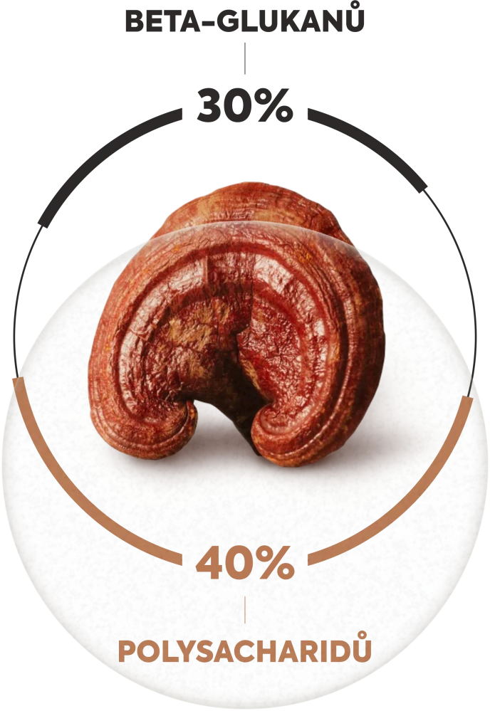 Reishi extrakt 90 kapslí 500 mg