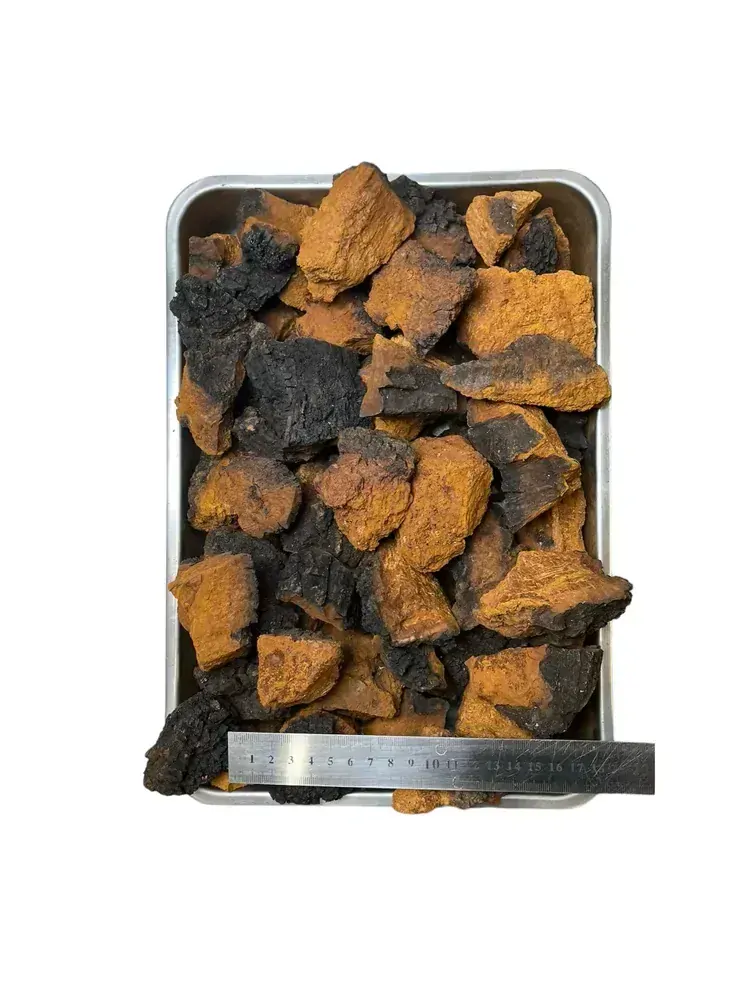 ČAGA SIBIŘSKÁ kousky 100 g