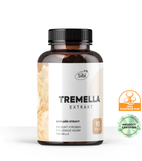 TREMELLA EXTRAKT 90 KAPSLÍ 500 mg