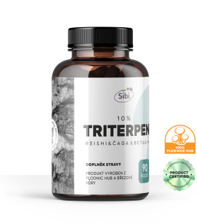 TRITERPEN 10% EXTRAKT 90 KAPSLÍ 500 mg