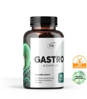 GASTRO KOMPLEX HOUBOVÉ EXTRAKTY 90 KPS 500 MG