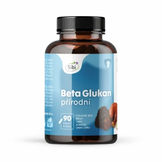 BETA-GLUKAN 90 kps 500 mg