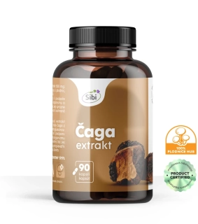 ČAGA EXTRAKT 90 KAPSLÍ 500 mg, Série Balance