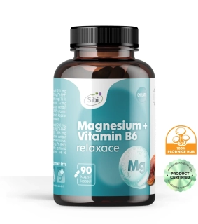 Magnesium + Vitamin B6-RELAX KOMPLEX-vitamíny a houbové extrakty 90 kps 500 mg