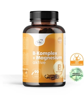 B-Komplex + Magnesium-AKTIVE KOMPLEX-vitamíny a houbové extrakty 90 kps 500 mg