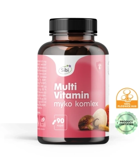 Multi Vitamin-MULTI KOMPLEX-vitamíny a houbové extrakty 90 kps 500 mg