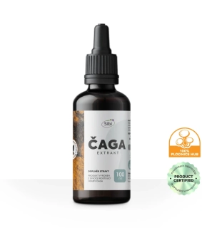 ČAGA EXTRAKT DVOJITÝ TINKTURA 100 ml